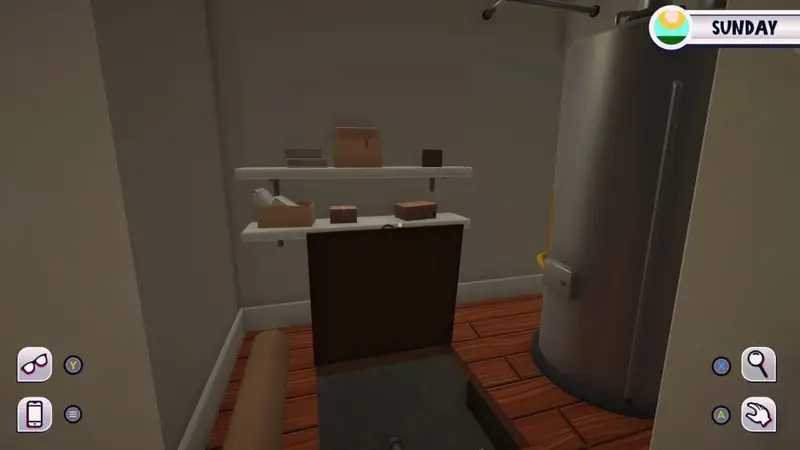 Crawlspace boxes to examine in Date Everything!