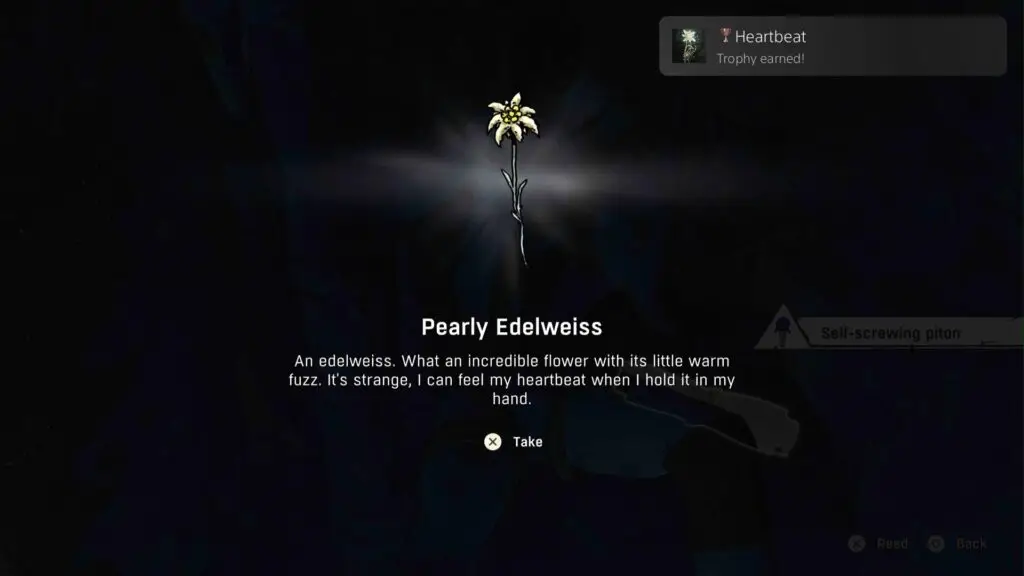 Cairn - Heartbeat Trophy Guide