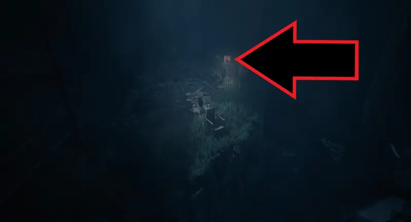 REANIMAL A Proper Gander Trophy Guide