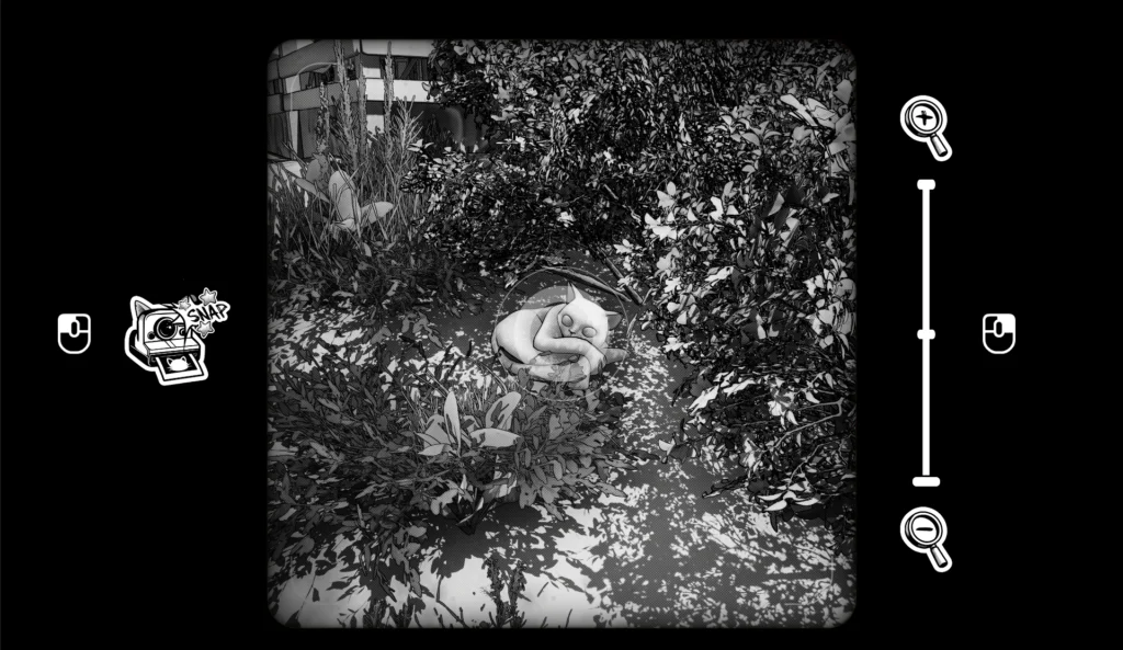 Cat Me If You Can Summer Release