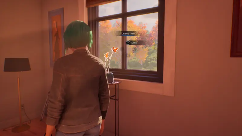 Life is Strange Reunion Chloe Collectibles
