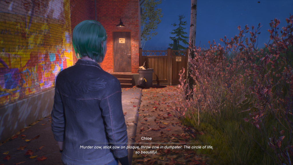 Life is Strange Reunion Chloe Collectibles