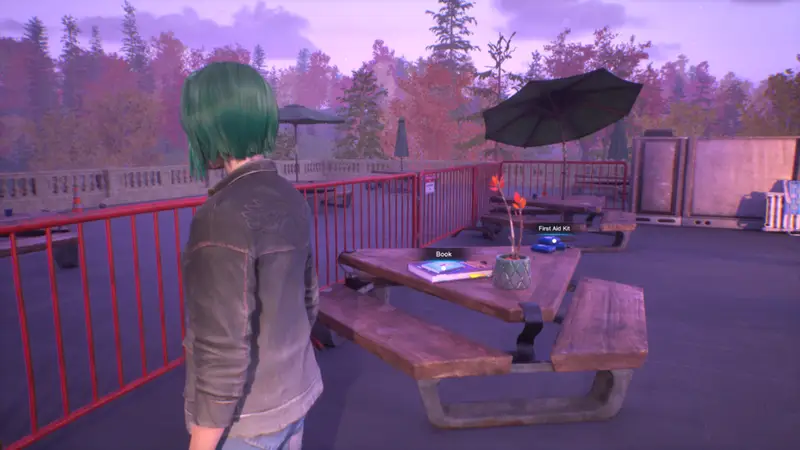 Life is Strange Reunion Chloe Collectibles