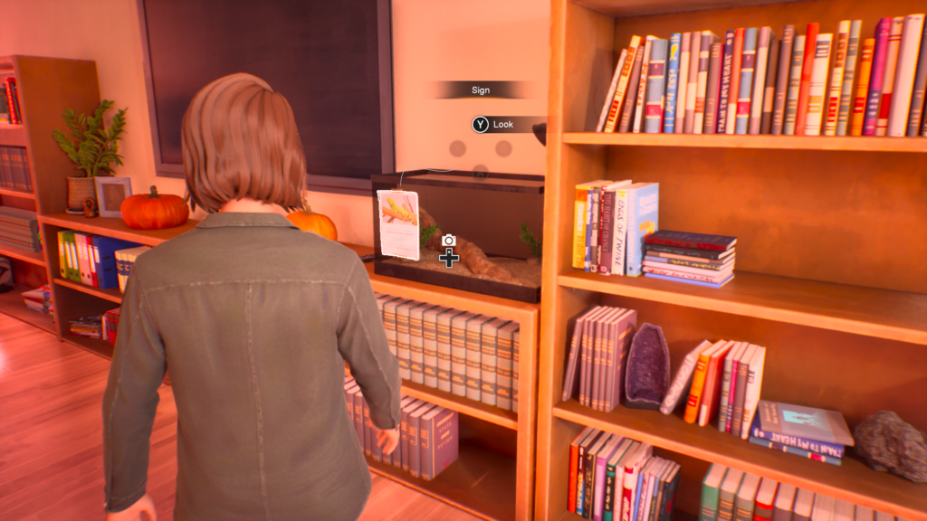 Life is Strange Reunion Max Collectible