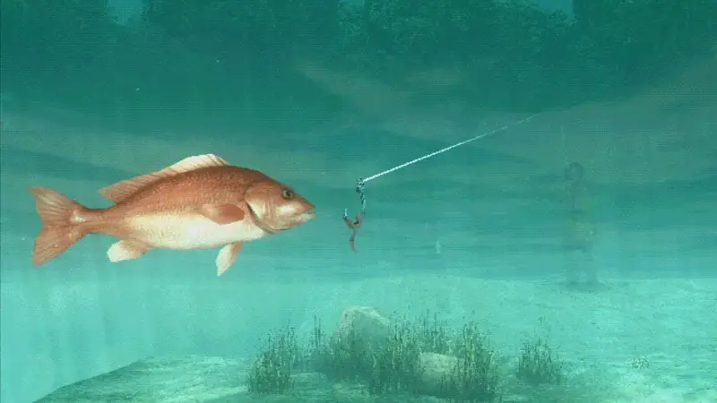 About Fishing Demo