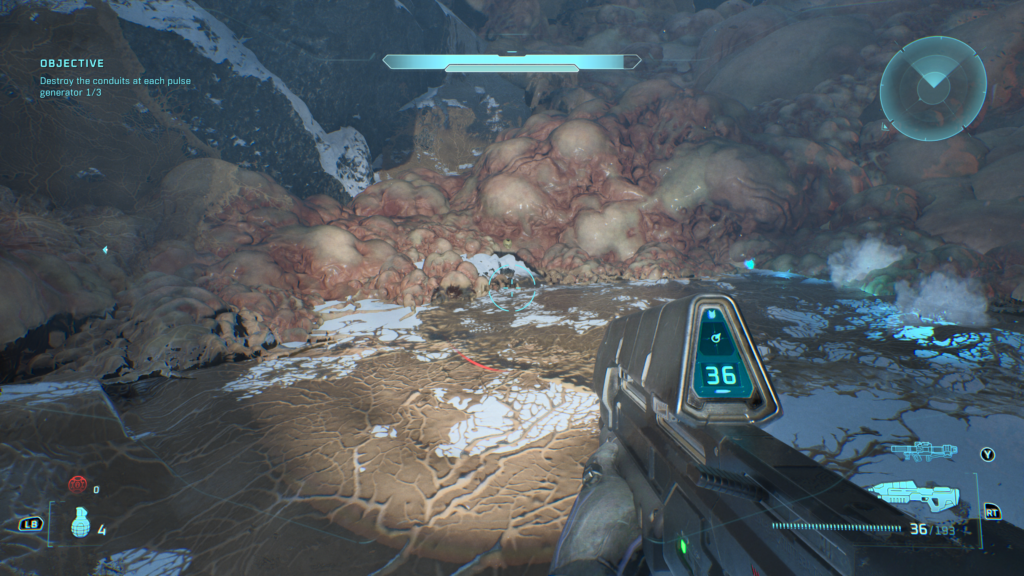 Halo Campaign Evolved Blackeye