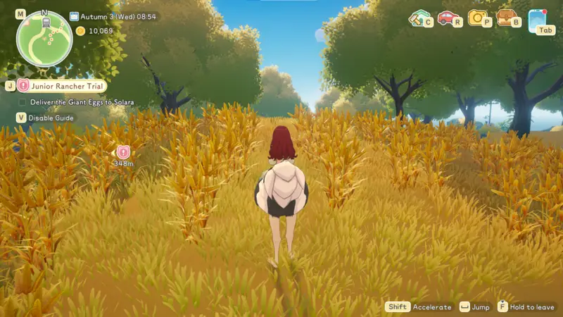 riding on an ostrich through a corn field in Starsand Island