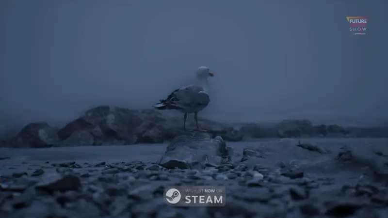 ritual tides - wishlist now