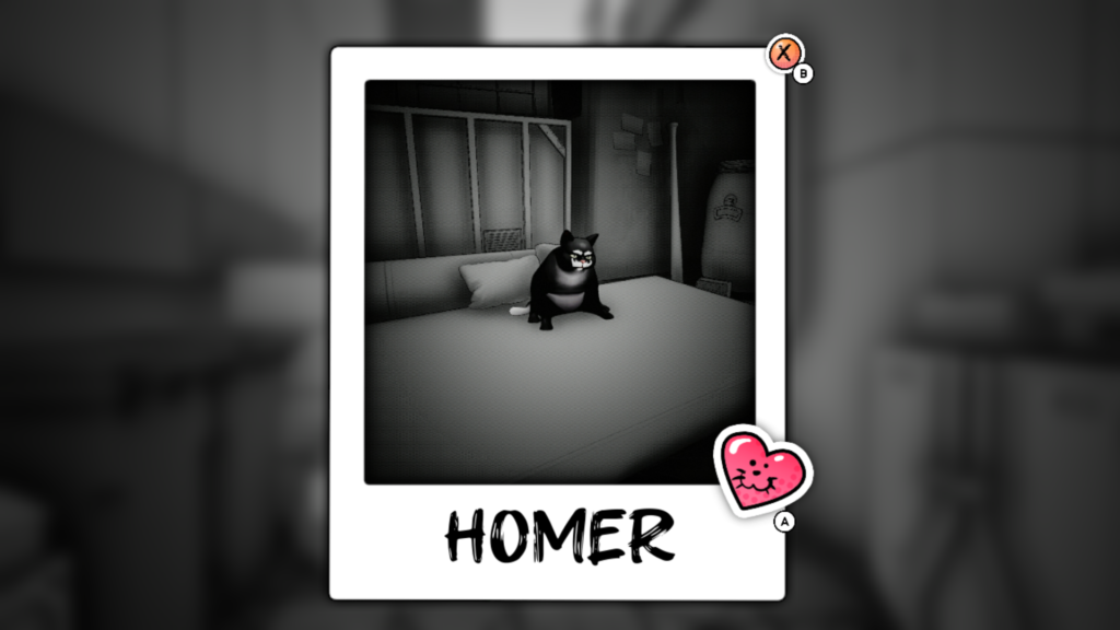 A polaroid photograph of a cat sitting up on a bed with the name Homer written on the bottom and a pink heart with a cat face in the corner.