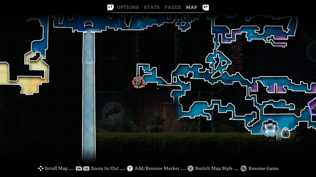 bundle of hair map